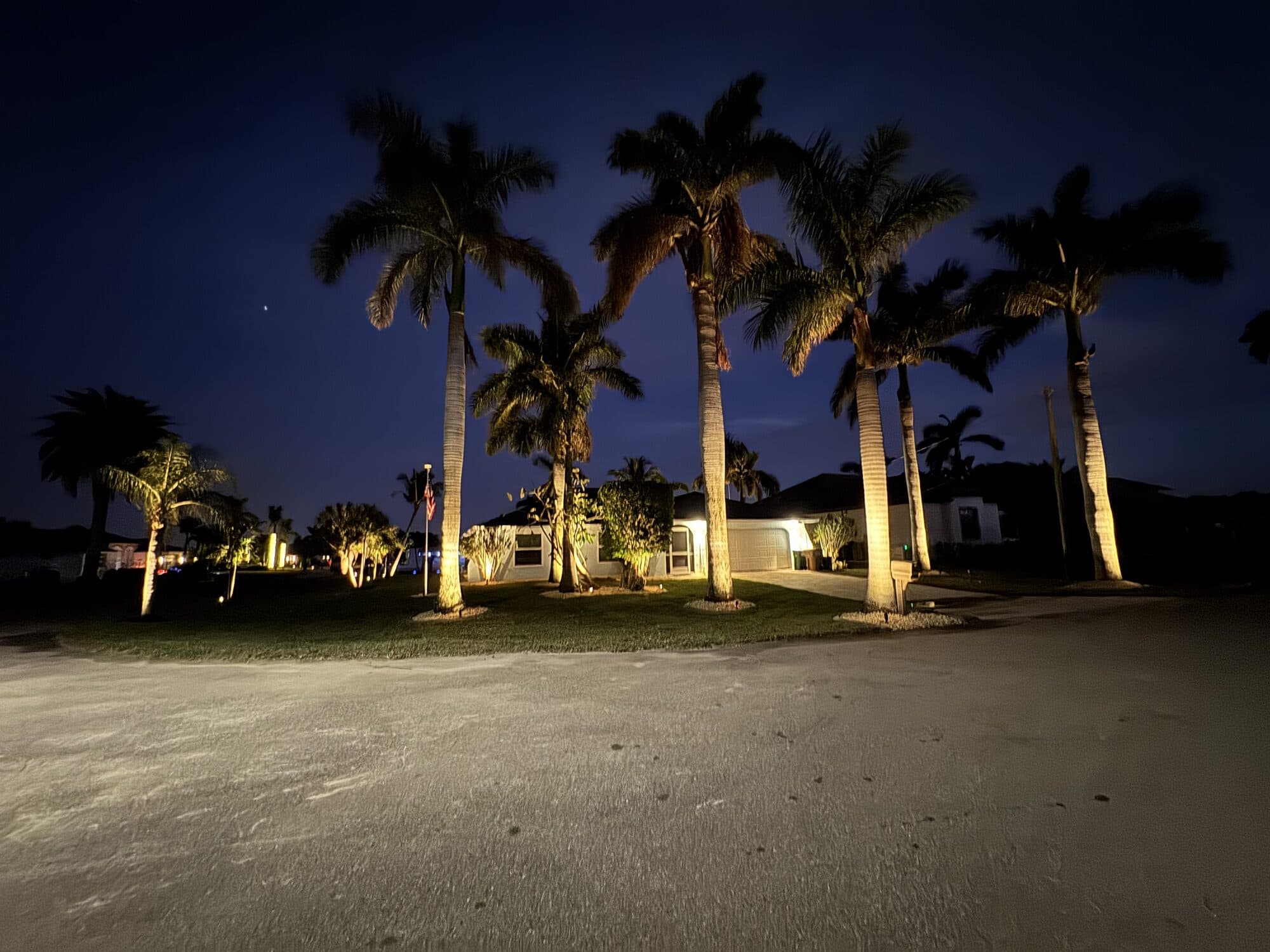 Landscape lighting on royal palms at a Cape Coral home