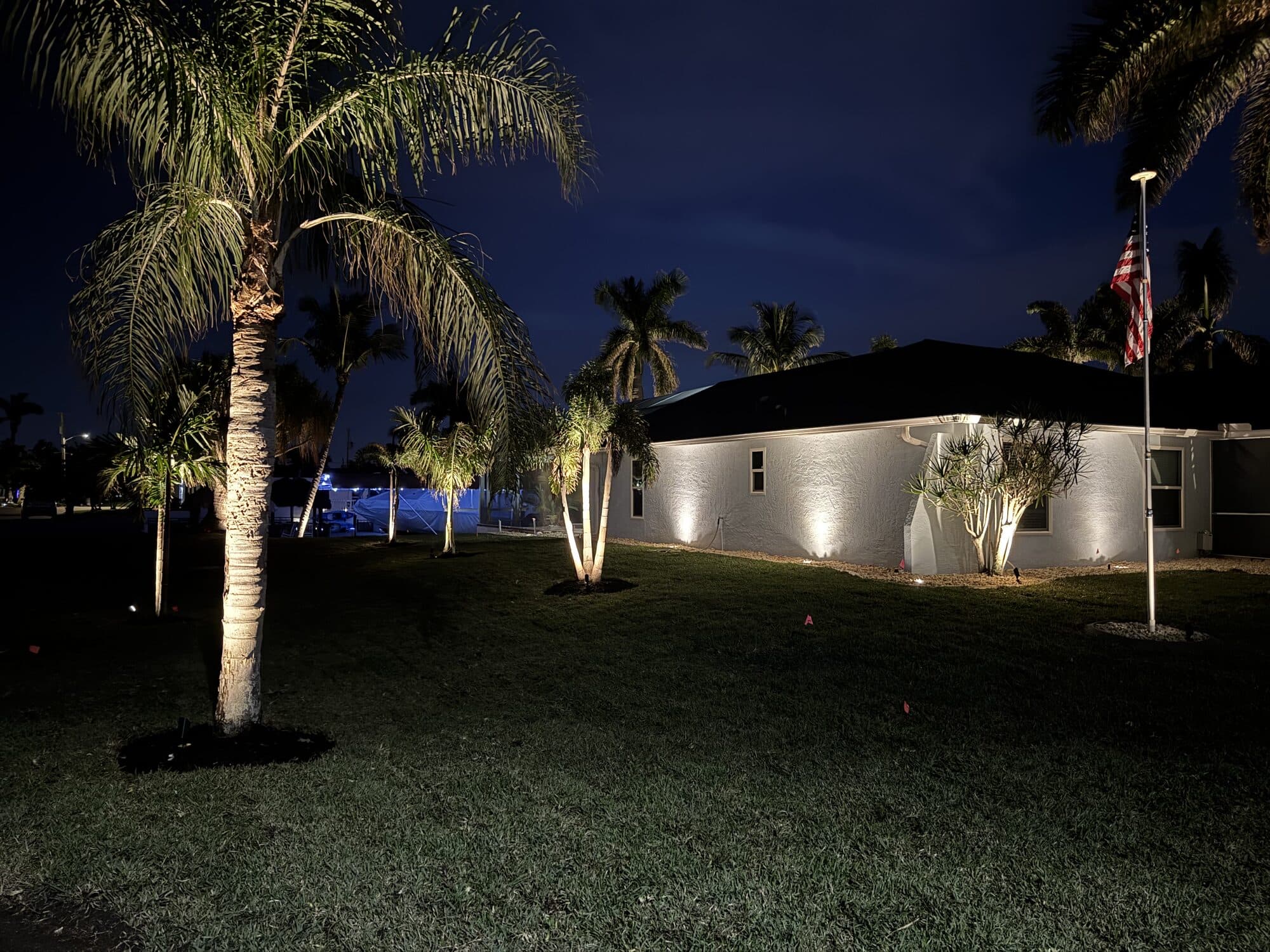 Landscape lighting with uplit palms at a Cape Coral home