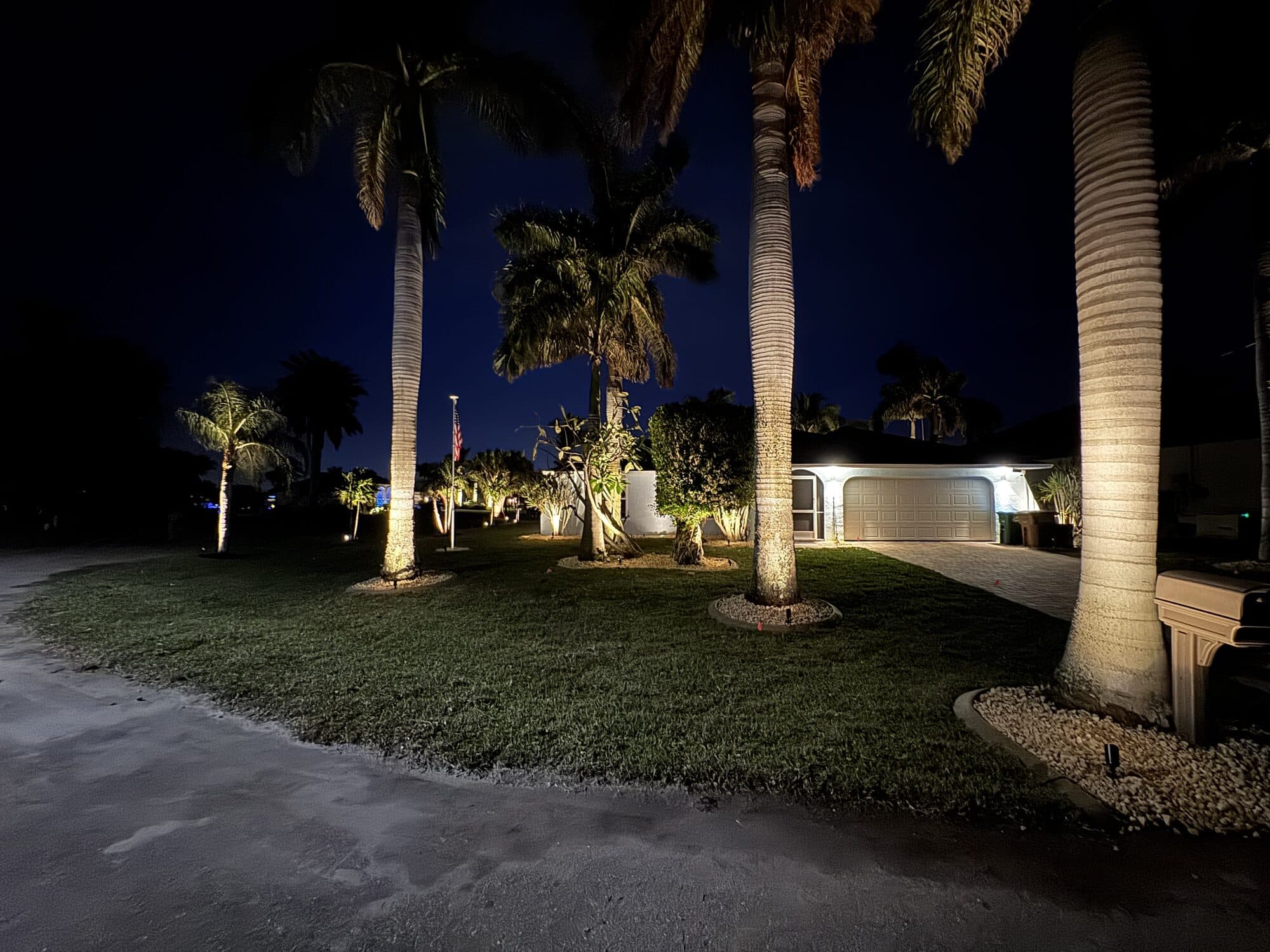 Community streetscape with uplit palms along a Cape Coral driveway