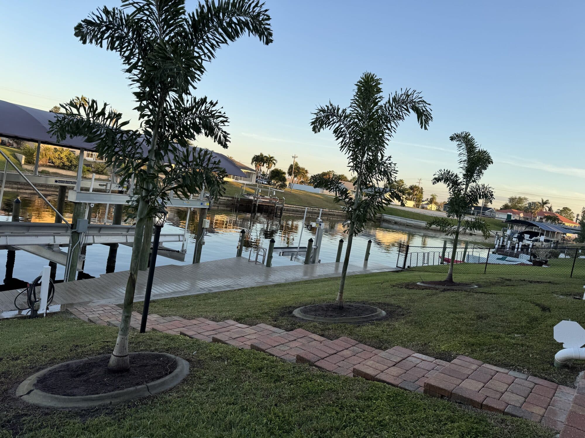 Foxtail palm planting on a canal-front Cape Coral lot