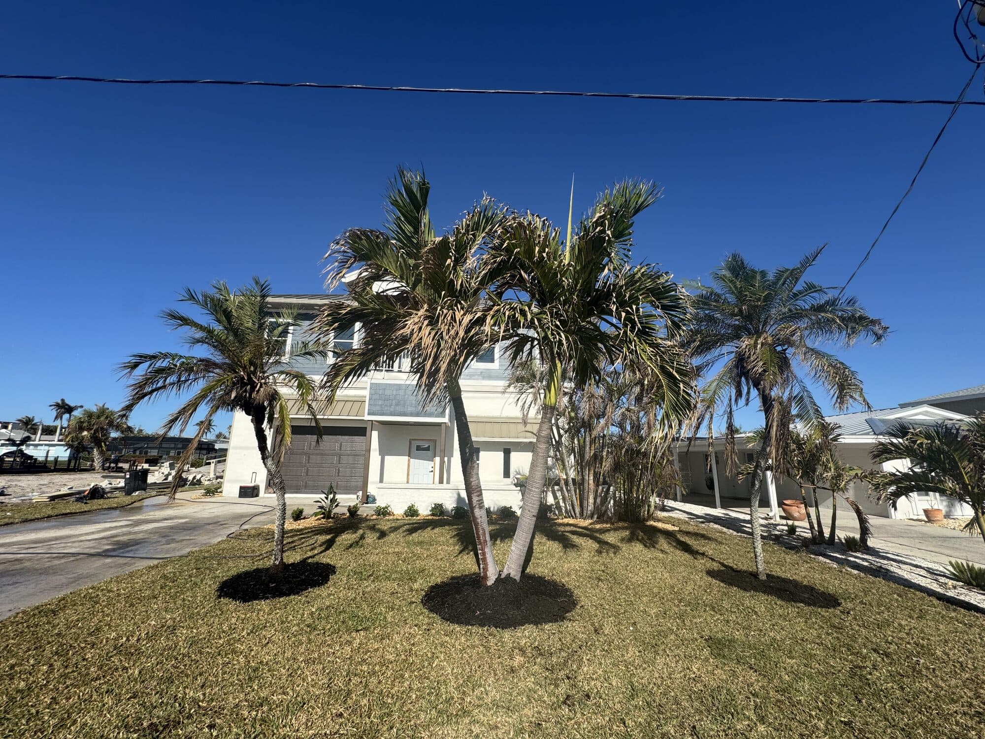 Palm cluster installation at a Southwest Florida home